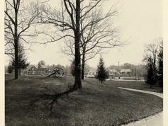 From the Campus